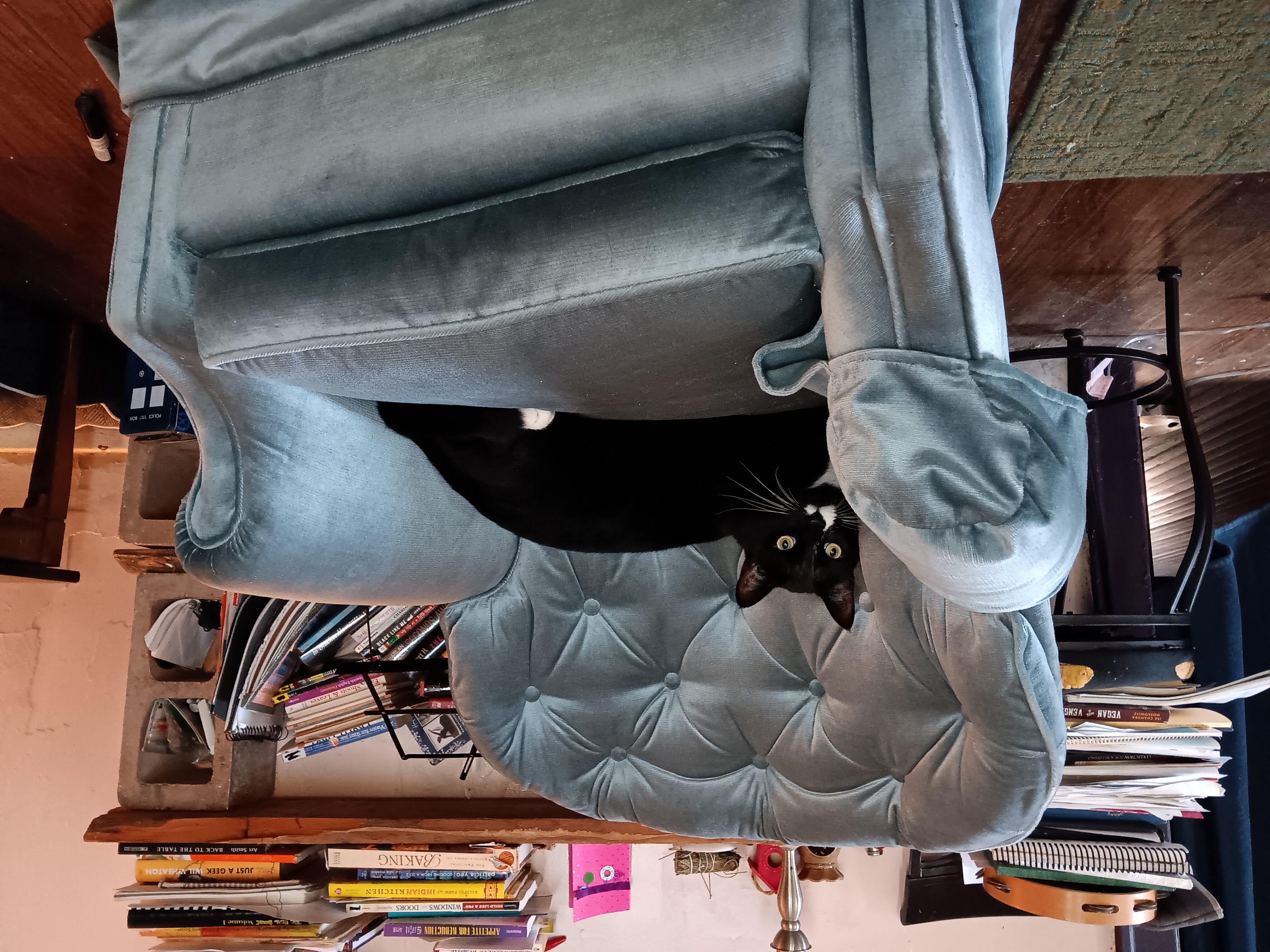 A visual showing why this chair isn't mine, apparently.