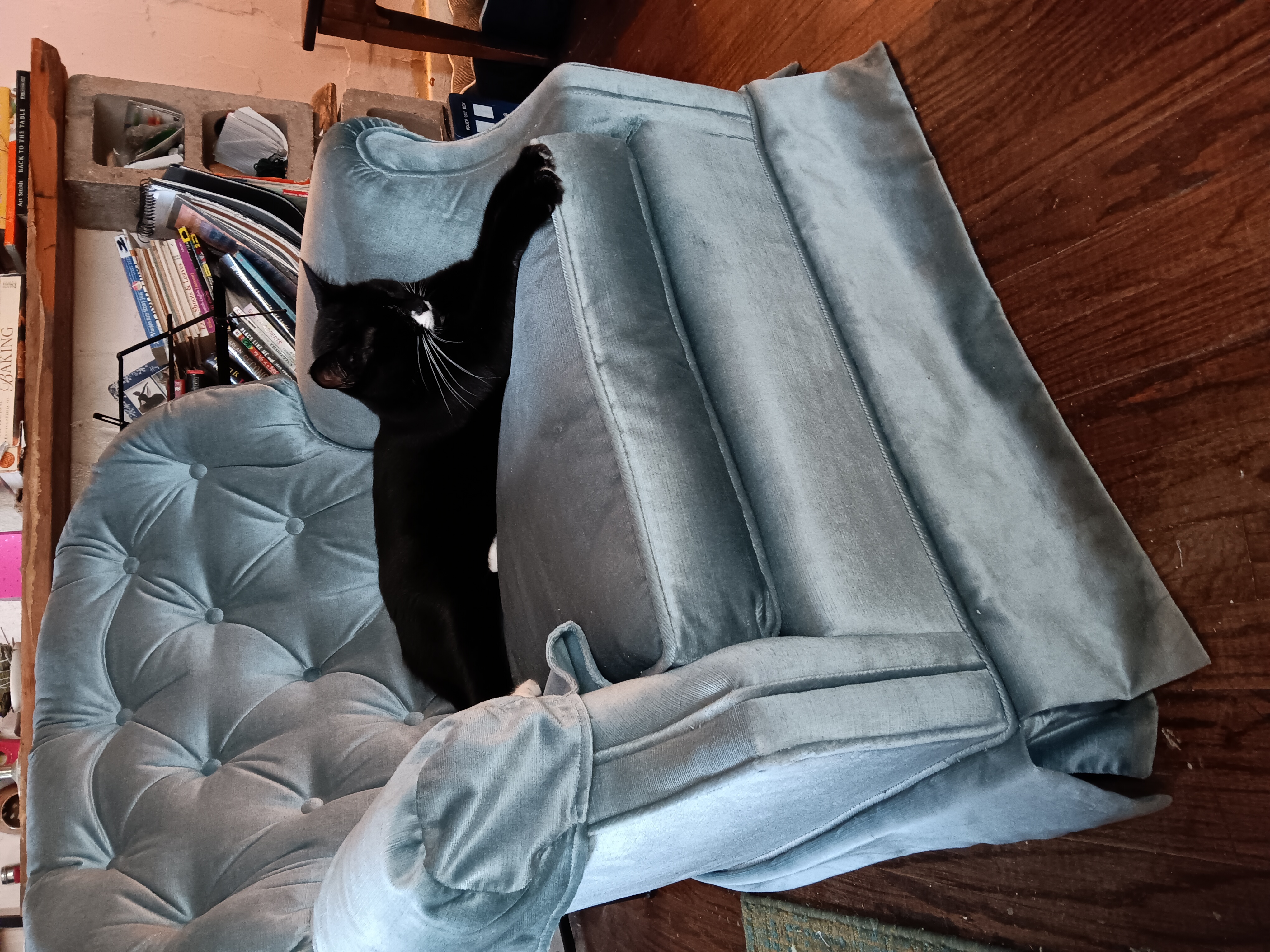 A visual showing why this chair isn't mine, apparently.