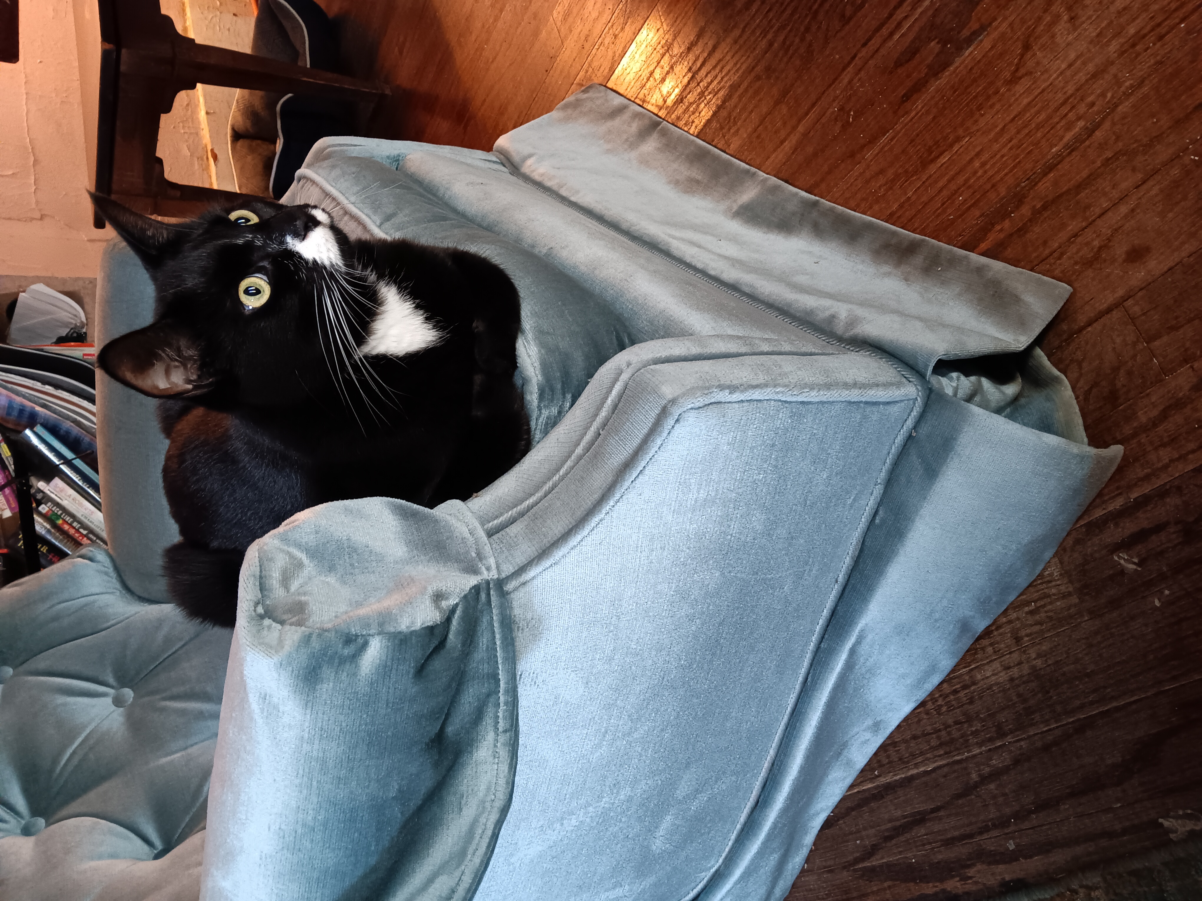 A visual showing why this chair isn't mine, apparently.