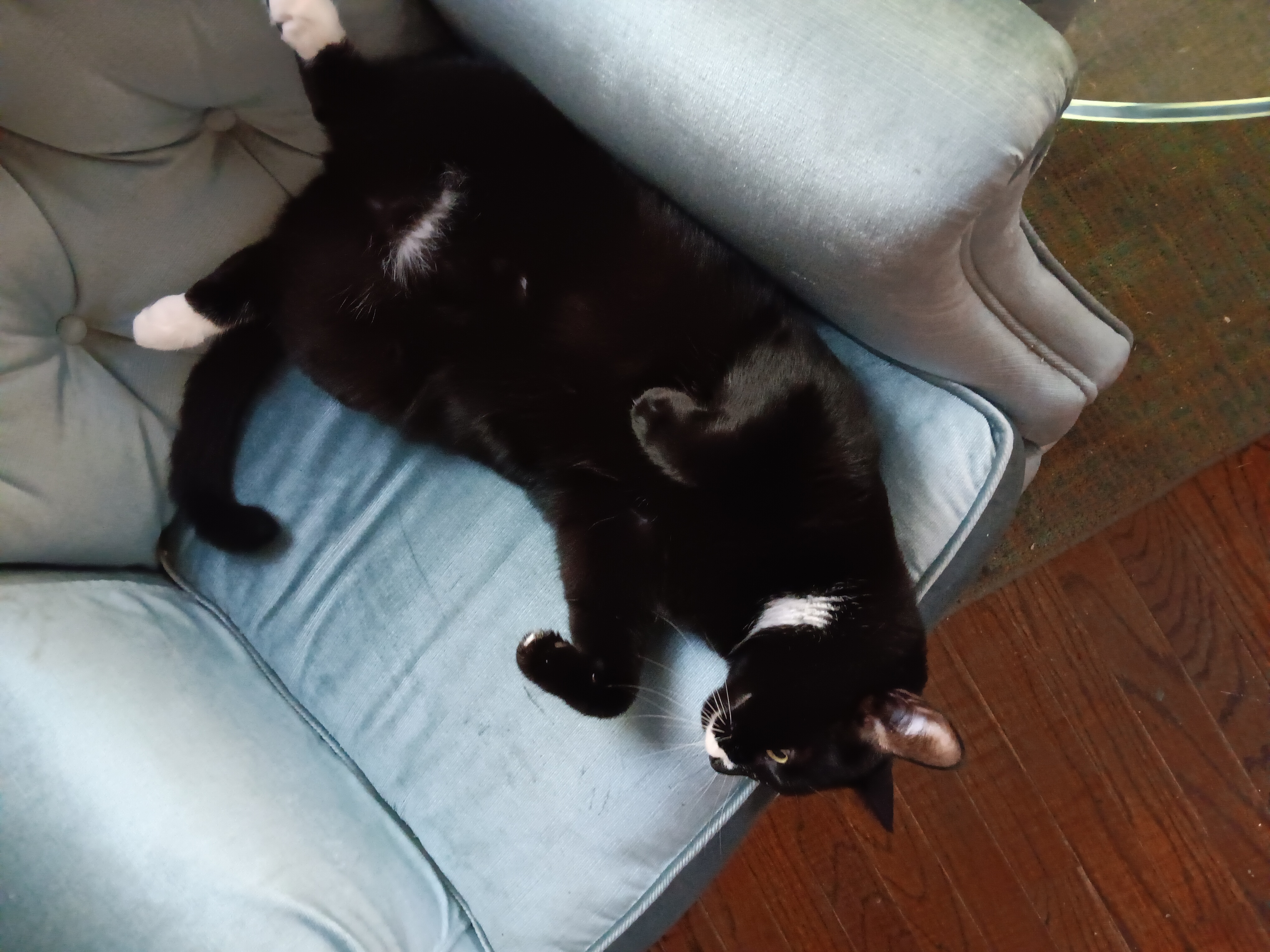 A visual showing why this chair isn't mine, apparently.