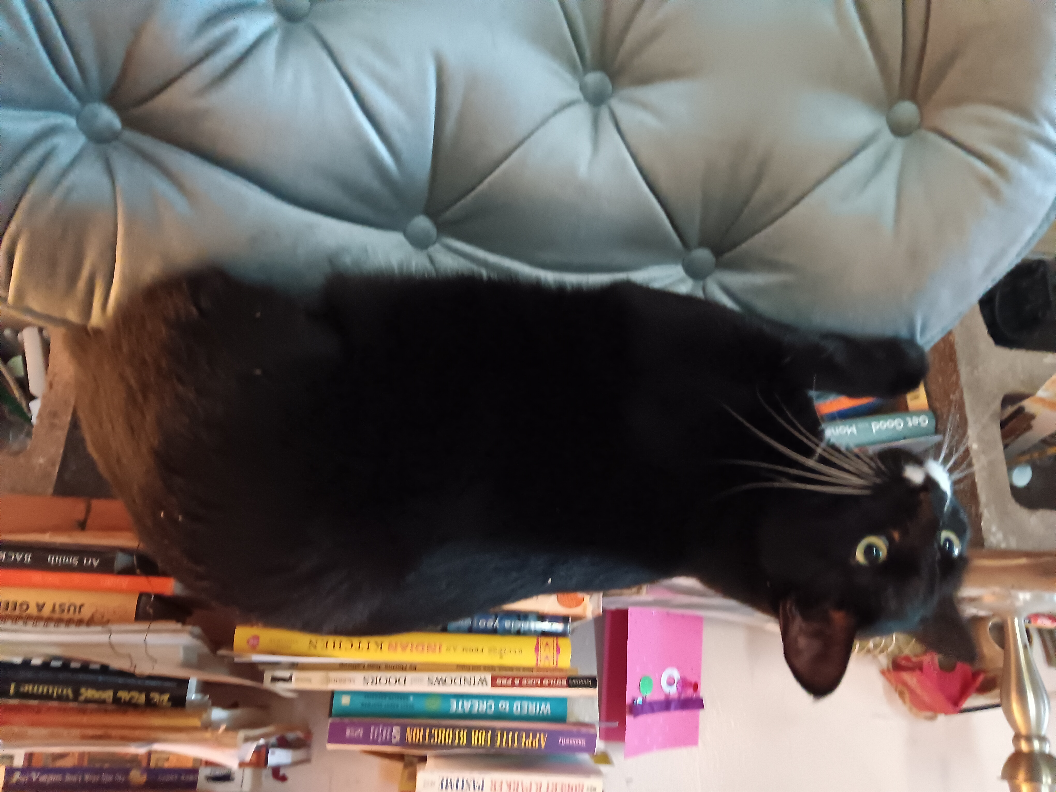 A visual showing why this chair isn't mine, apparently.
