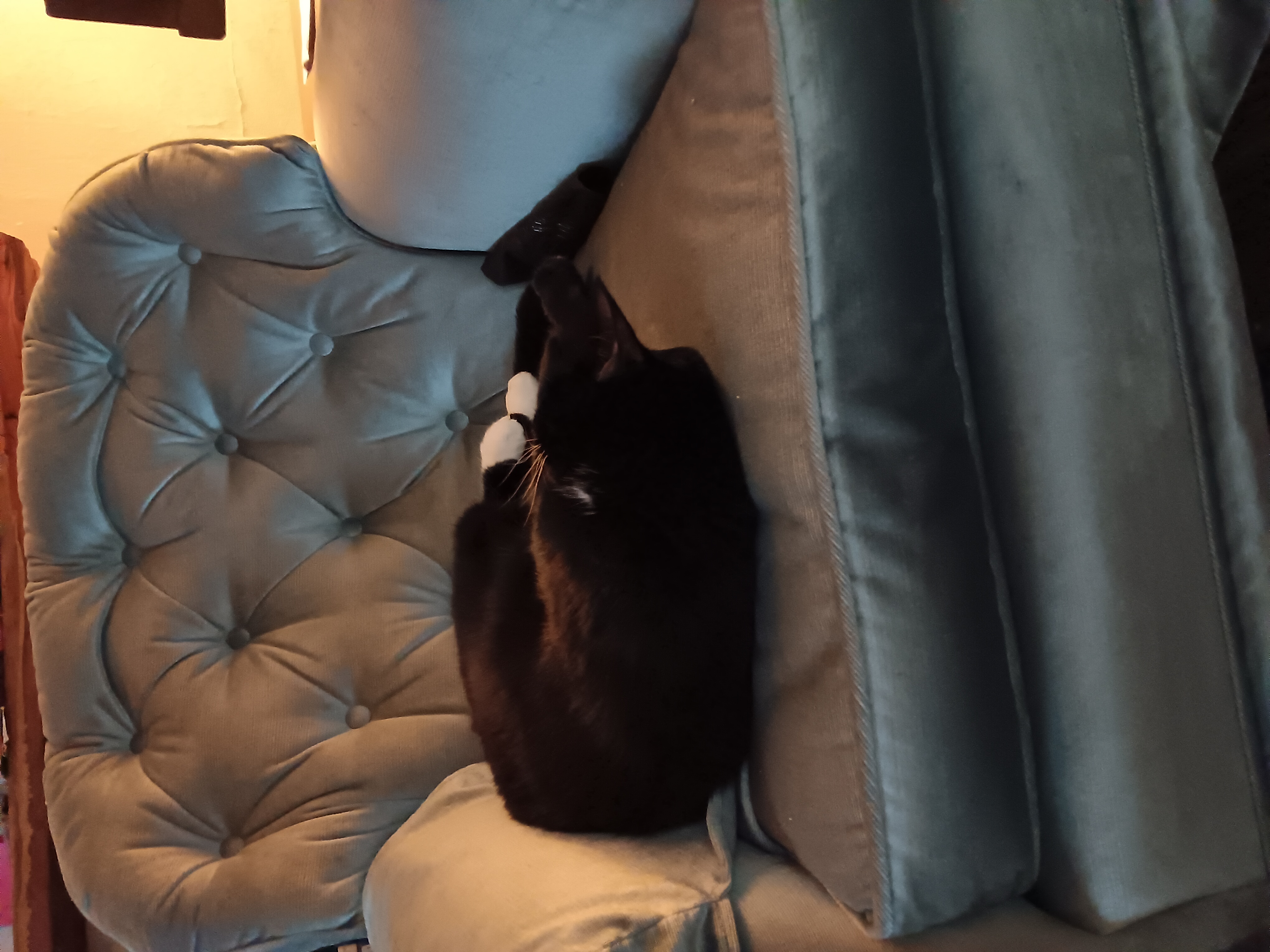 A visual showing why this chair isn't mine, apparently.