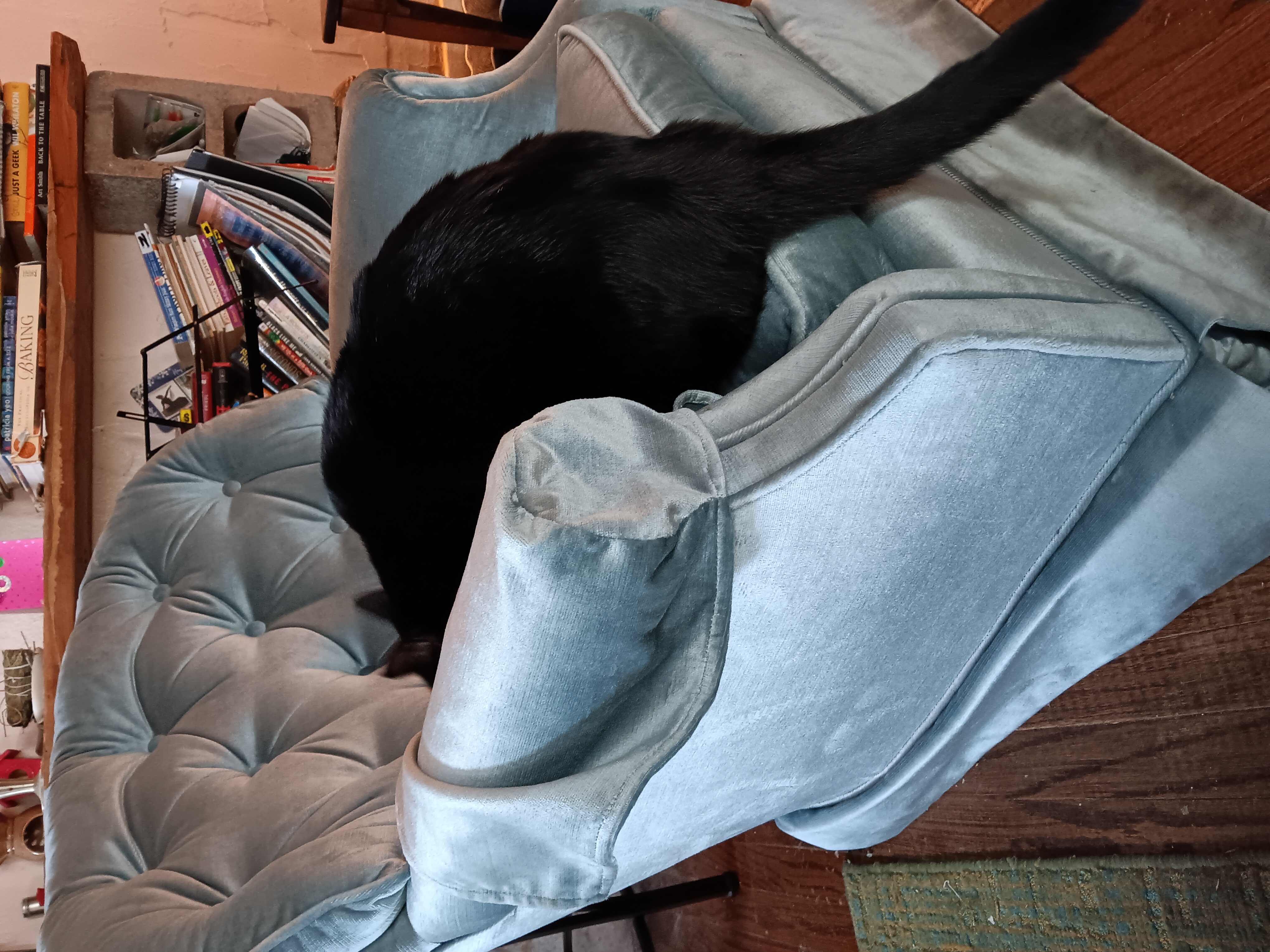 A visual showing why this chair isn't mine, apparently.