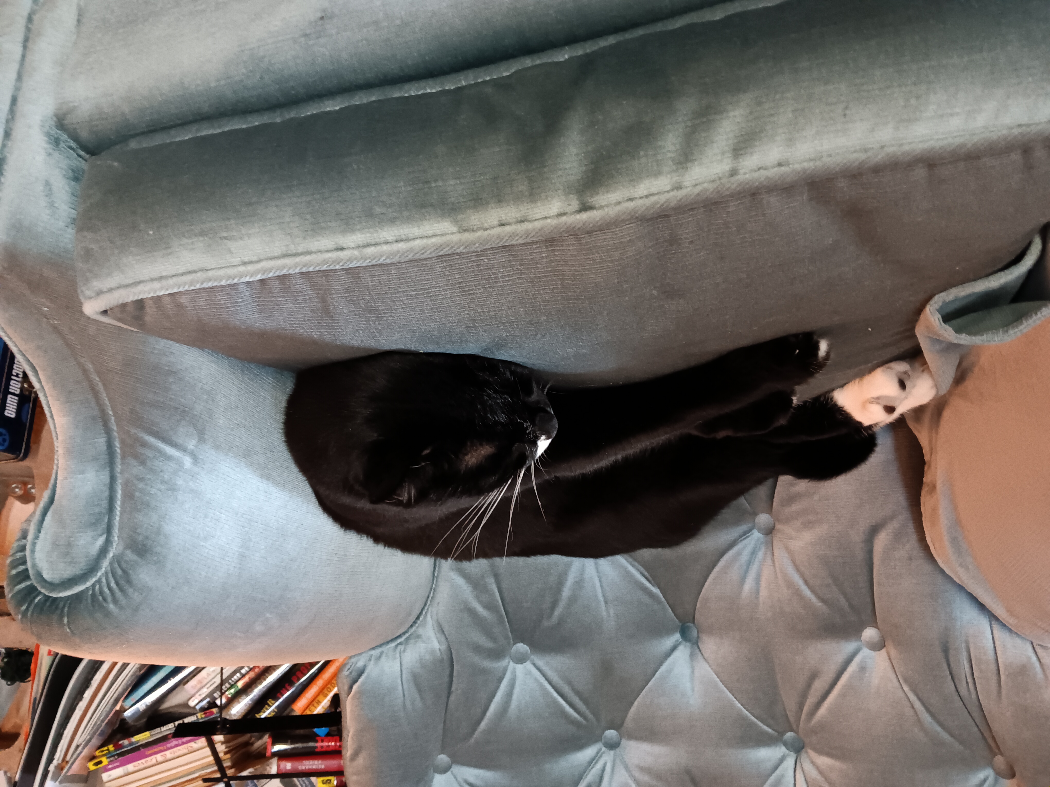 A visual showing why this chair isn't mine, apparently.