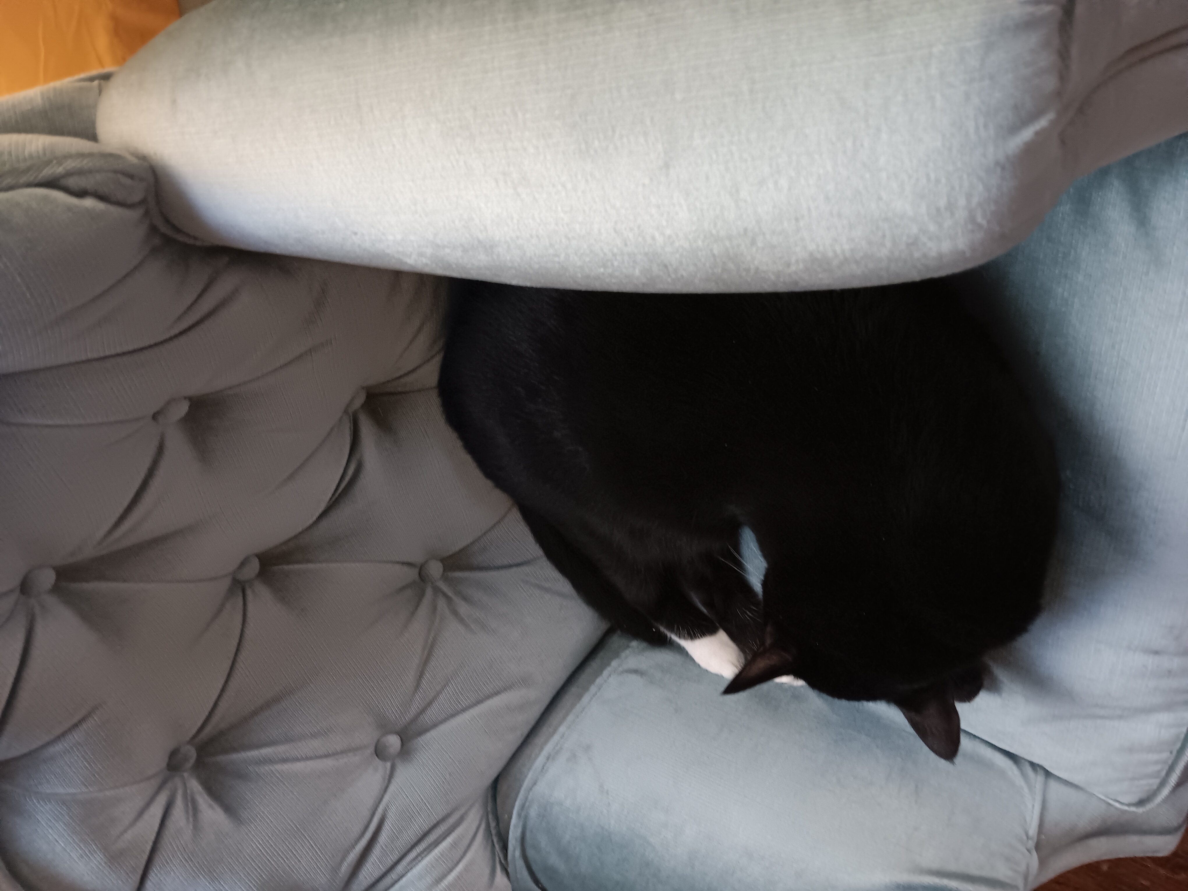 A visual showing why this chair isn't mine, apparently.