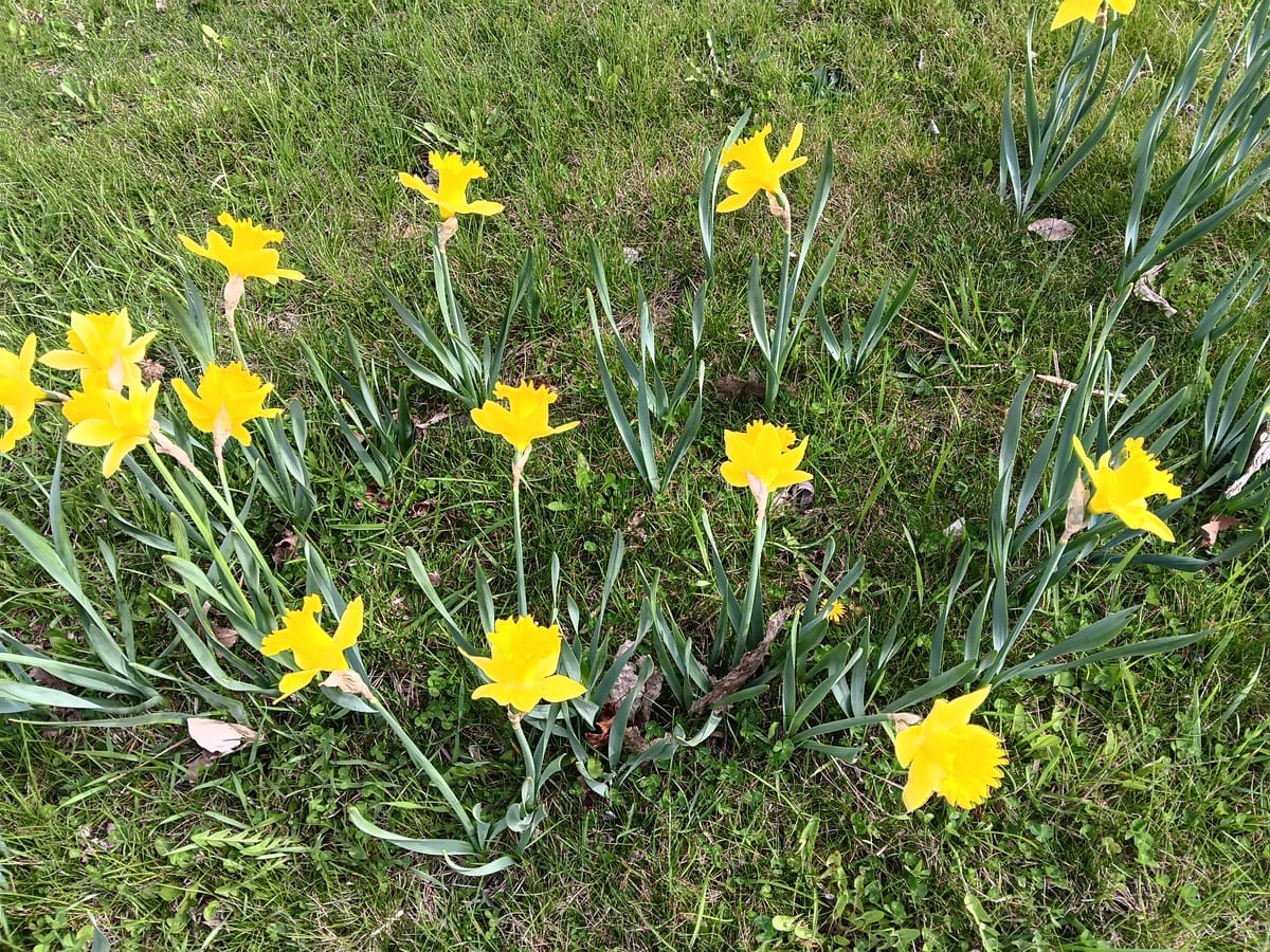 If you make it home, it was a good day.