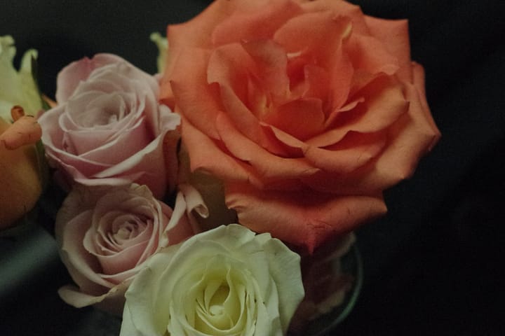 Teachers are remembering who we are.