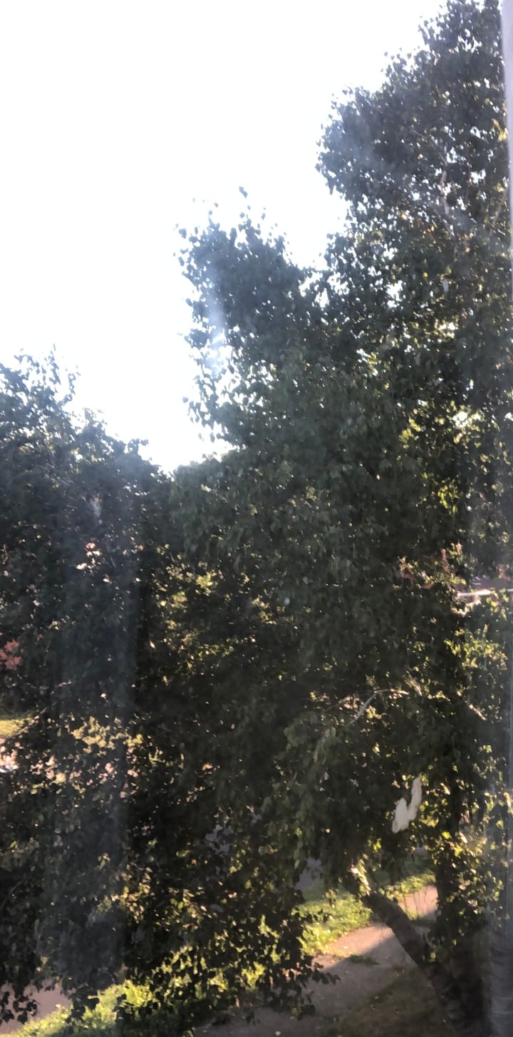 Enjoy it as best as you can.