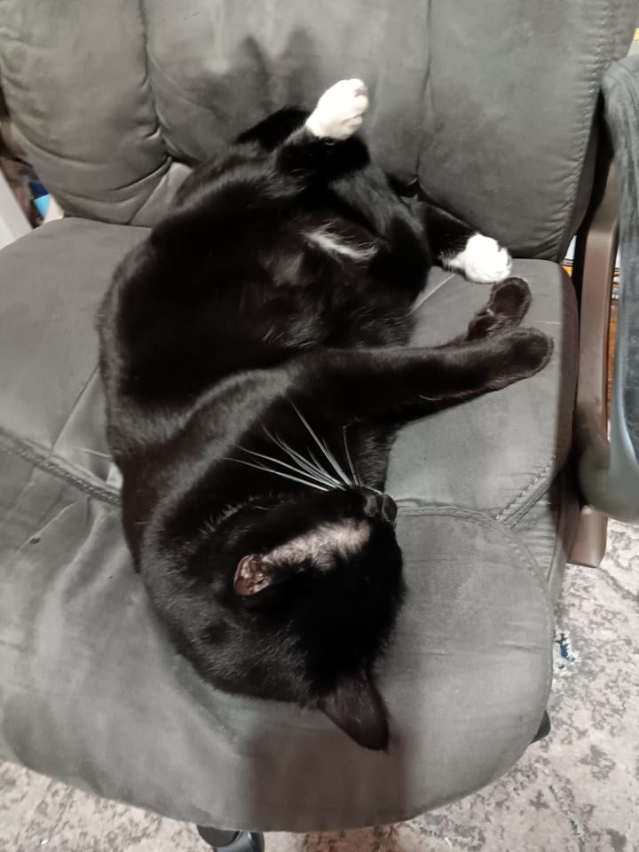 Creativity isn't planned.