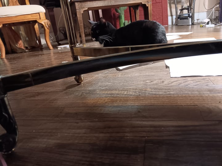 Dr Carter Godwin Woodson II