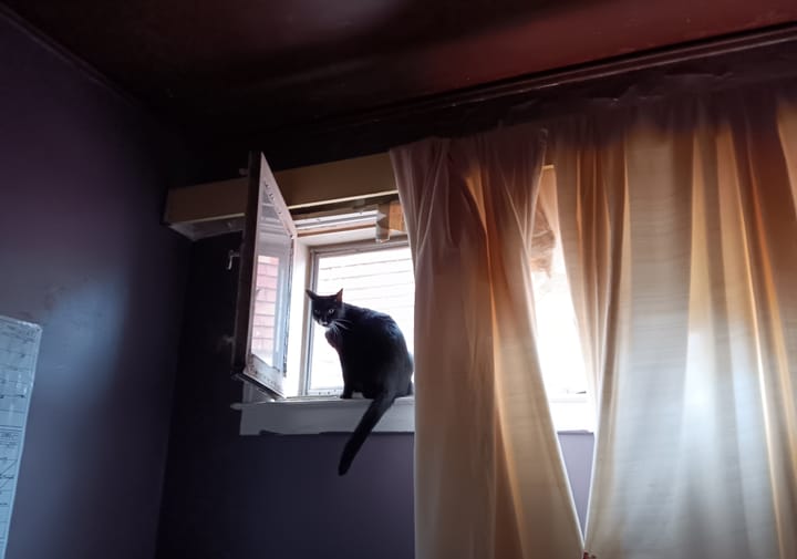 Office life be lit...