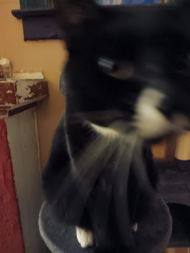 Put the pics from your camera roll into your screen saver for your TV.