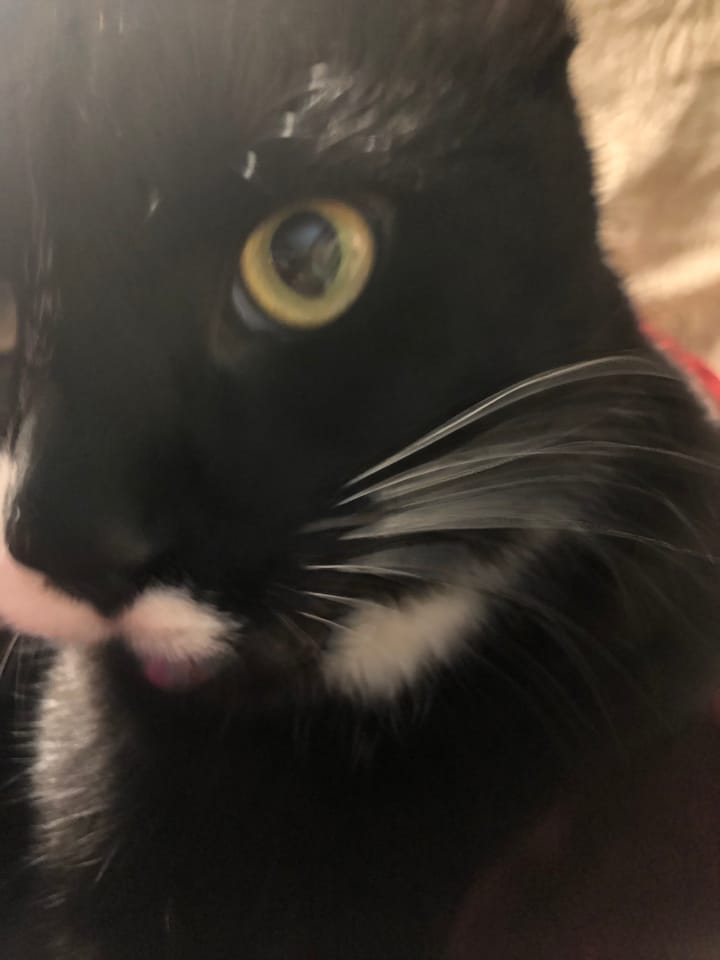 What to do when you don’t feel like teaching