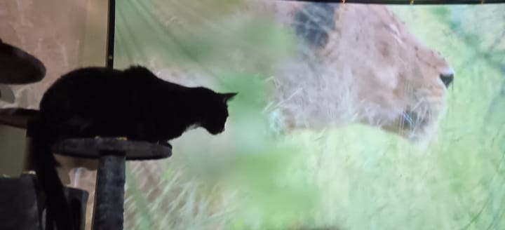 Show your students their greatness.