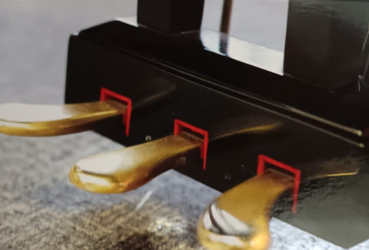 Field trip to the museum (video)