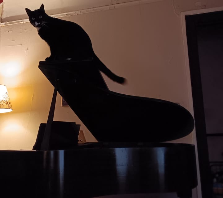 Taking musical risks.