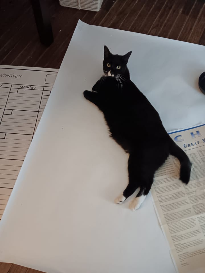 Calendars are great.