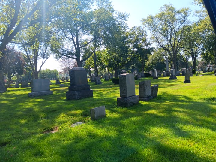 Please consider your dream tonight.